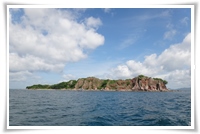 เกาะจระเข้